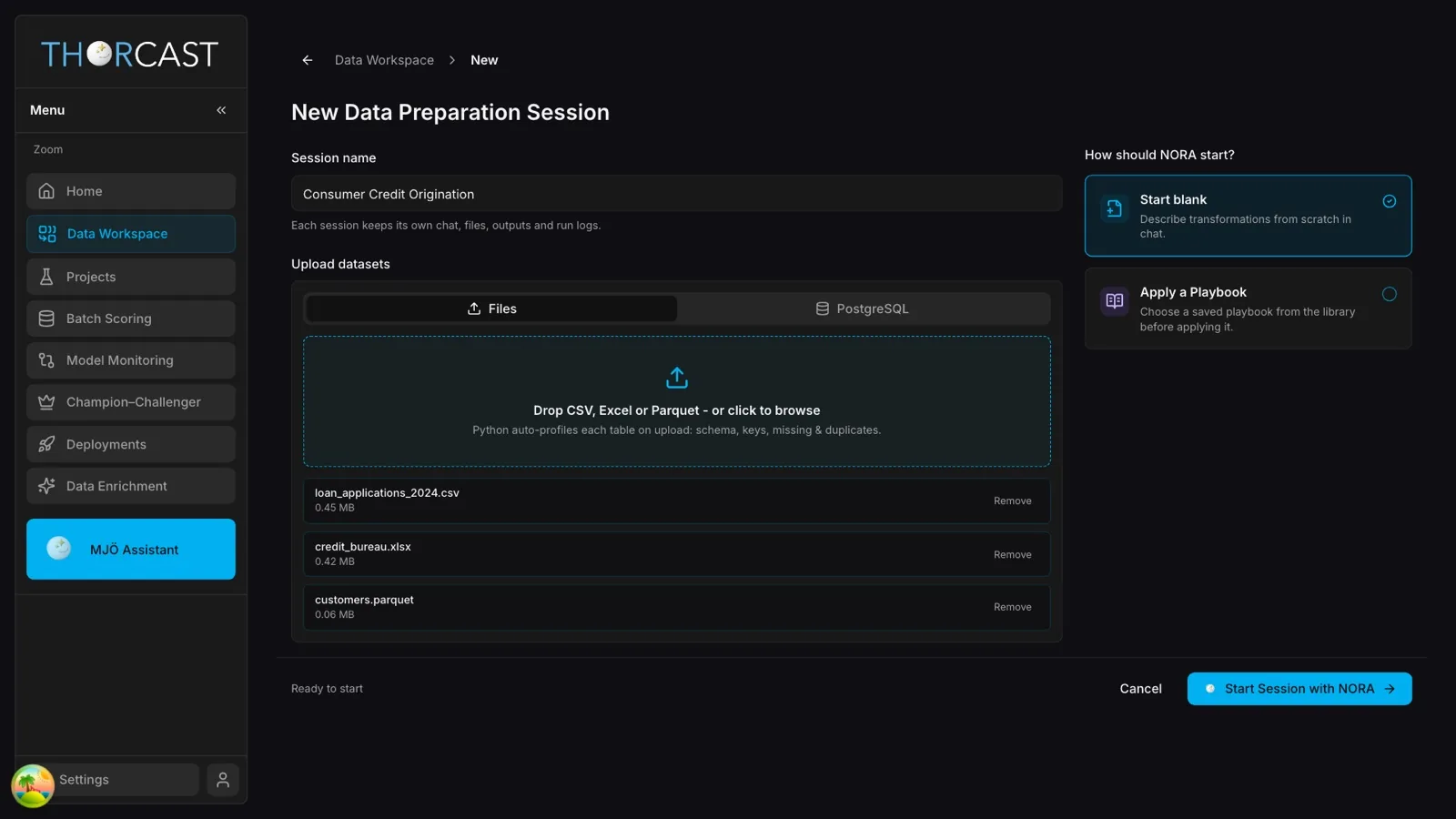 Upload any data file — CSV, Parquet, XLS — and NORA works on it for you.